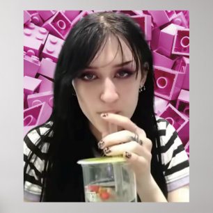 Ninjagobabe2001 Poster