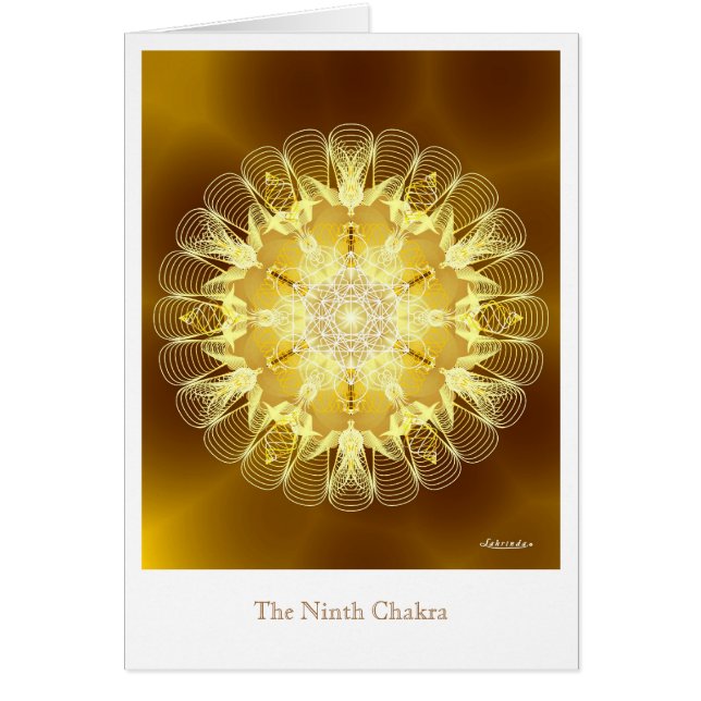 Ninth Chakra (Vorne)