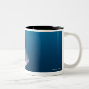 Nishiizumachi, Präfektur Shizuoka, Japan Zweifarbige Tasse