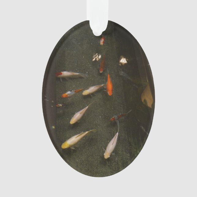 Nishikigoi (Koi Fish) Ornament (Vorderseite)