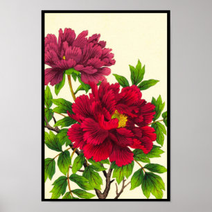 Nishimura Hodo Peony japanese Blume Fine Art Poster