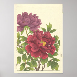 Nishimura Hodo Peony Japanische Blume Kunstferien Poster