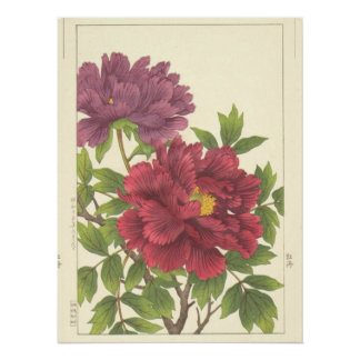 Nishimura Hodo Pfingstrose Japanische Blumen Fine Poster