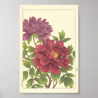 Nishimura Hodo Pfingstrose Japanische Blumen Kunst Poster