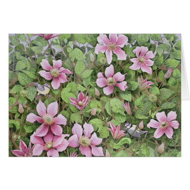 Nisten im Clematis (Vorderseite (Horizontal))