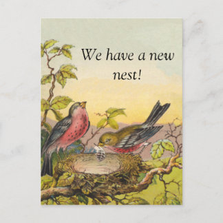Nistende Vögel Neue Adresse Postkarte