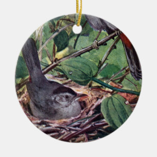 Nistengraue Catbirds Keramikornament