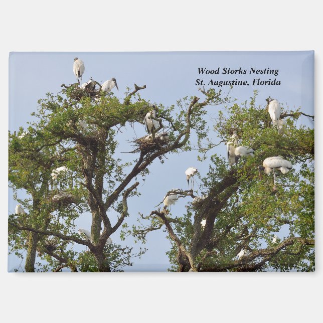 Nistplätze für Holzstämme Magnet (Vorderseite)