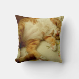 Nite Nite, das Katzen-Kissen träumt Kissen
