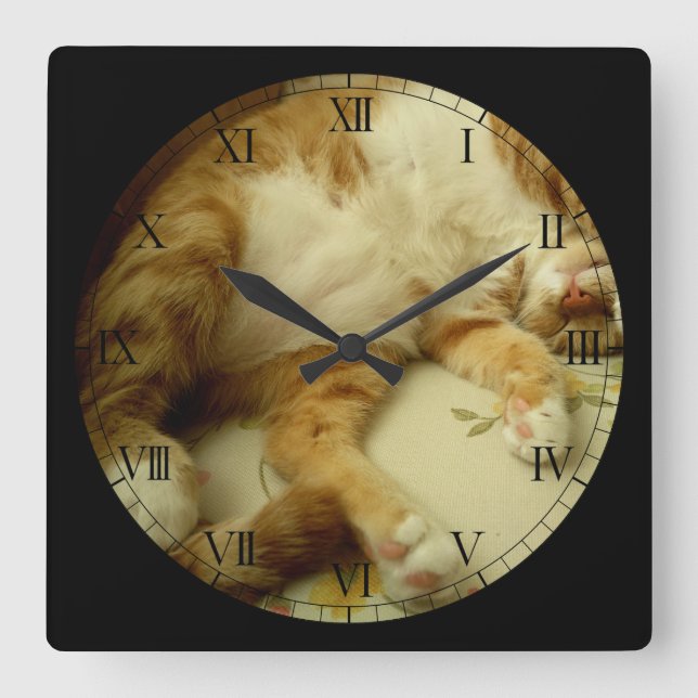 Nite Nite, das Katzen-Wanduhr träumt Quadratische Wanduhr (Vorderseite)