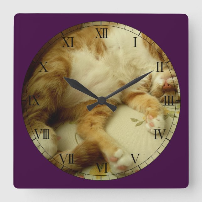 Nite Nite, das Katzen-Wanduhr träumt Quadratische Wanduhr (Vorderseite)