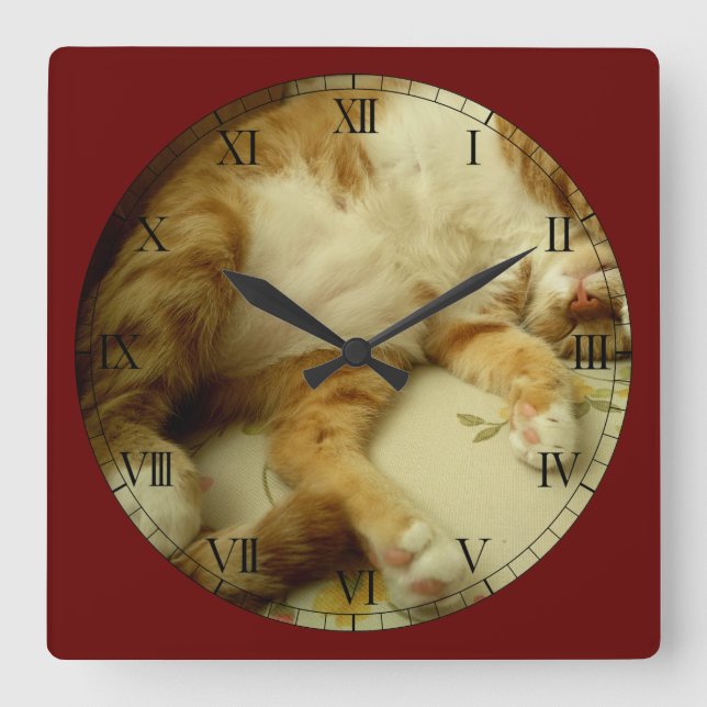 Nite Nite, das Katzen-Wanduhr träumt Quadratische Wanduhr (Vorderseite)