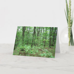 Nittany-Mitteilungskarten Karte