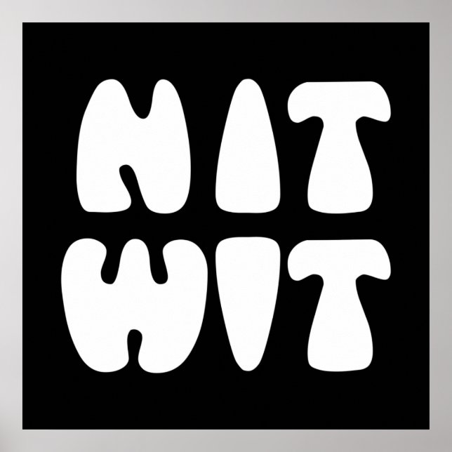 NITWIT POSTER (Vorne)