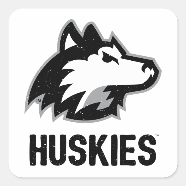 NIU-Huskies gestört Quadratischer Aufkleber (Vorderseite)