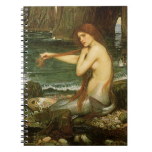 Nixe von John William Waterhouse Notizblock