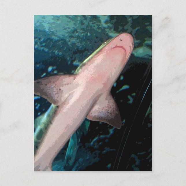 NJ Shark CB Postkarte (Vorderseite)
