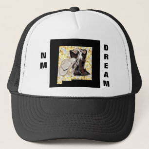 NM DREAM TRUCKERKAPPE