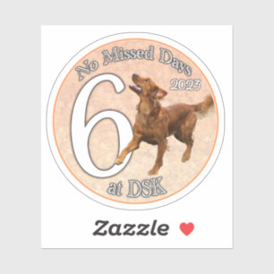 NMD bei DSK - Abzeichen-Sticker vom Juni 2023 Aufkleber