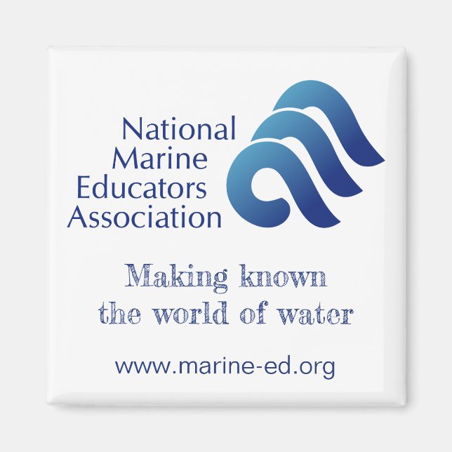 NMEA-Magnet Magnet (Vorne)