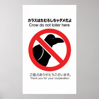 No Crow Poster
