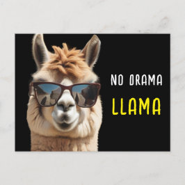 No Drama Llama Cool Alpaca mit Sonnenbrille Funny Postkarte