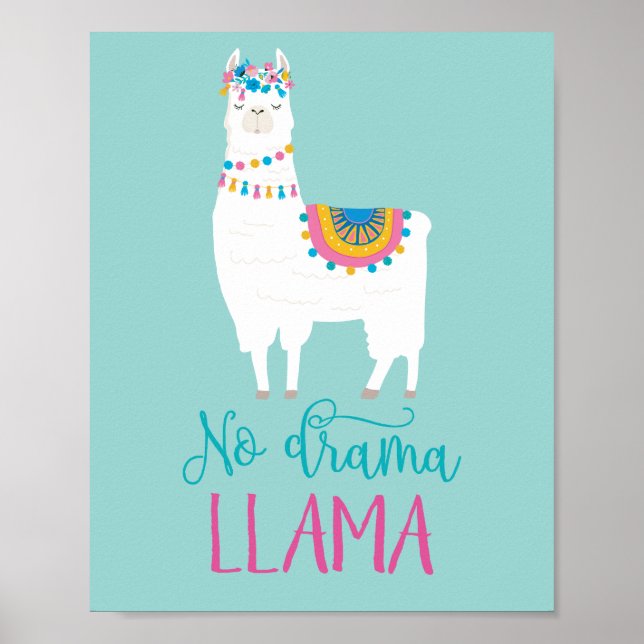No Drama LLAMA Poster (Vorne)