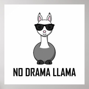 No Drama Llama Sonnenbrille Poster