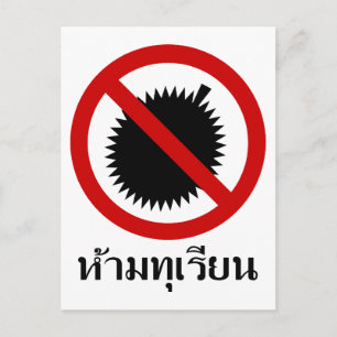 NO Durian ⚠ Thai Language Script ⚠ Postkarte