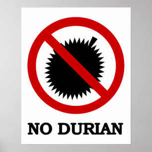 NO Durian Tropical Fruchtzeichen Poster