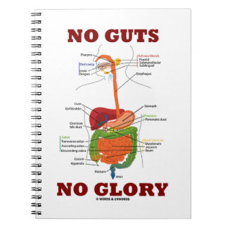 No Guts No Glory (Verdauungssystem Humor) Notizblock