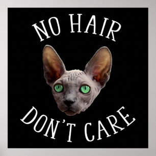 No Hair Don't Care Funny Sphynx Cat Poster
