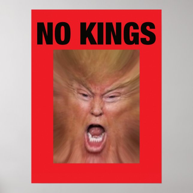 NO KING Dump Trump Poster (Vorne)