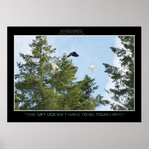 "NO LIMITS" Foto Print or Poster