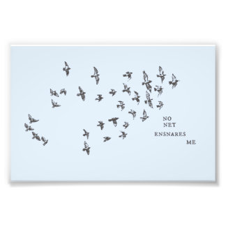 "No net ensnares me" + vögel (schwarz auf blass bl Fotodruck