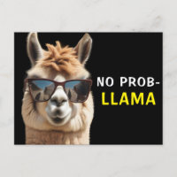 No Prob-Llama Cool Alpaca mit Sonnenbrille Funny