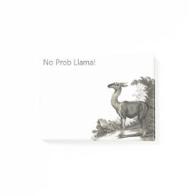 No Prob Llama Vintag Guanaco Illustration
