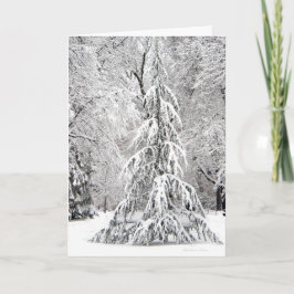 *No Schneeflocke fällt in den falschen Platz Feiertagskarte