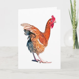 No Spring Chicken Birthday Card Karte