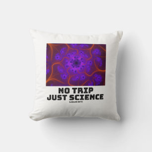No Trip Just Science Mandelbrot Julia Set Fraktal Kissen