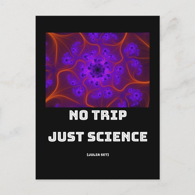 No Trip Just Science Mandelbrot Julia Set Fraktal Postkarte (Vorderseite)