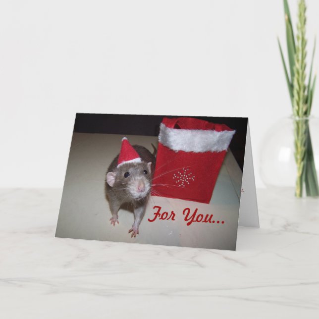 Noah Christmas Card 2 Feiertagskarte (Vorderseite)