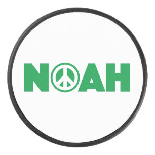 Noah Eishockey Puck