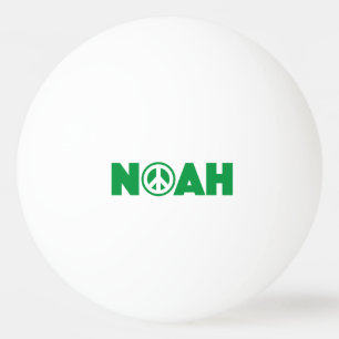 Noah Tischtennisball