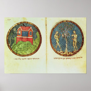 Noah's Ark und Adam und Eva Poster
