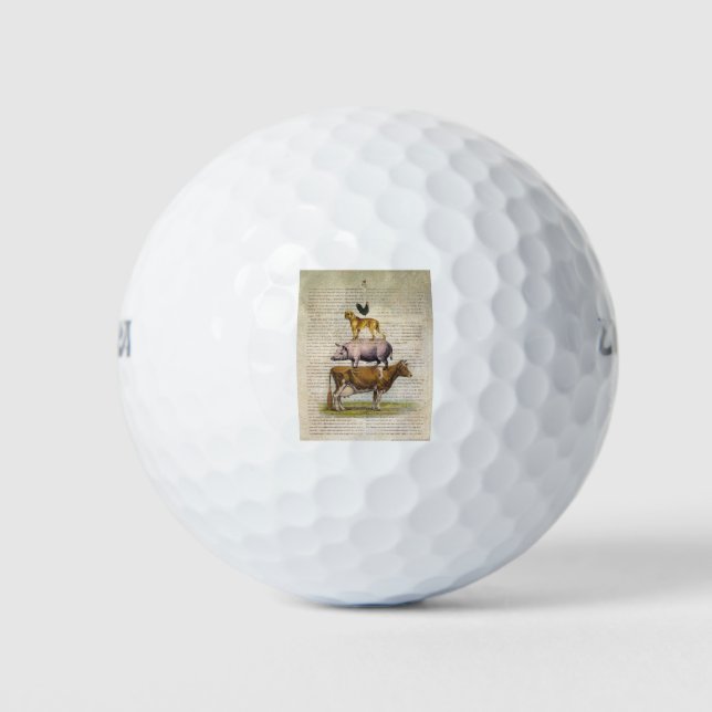 NOB10-Hof-Stand A1.tif Golfball (Vorderseite)
