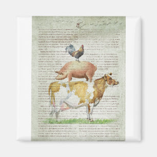 NOB11 Haltungsstand B1.tif Magnet