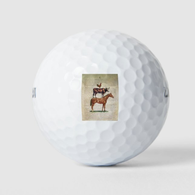 NOB12 Farm Stand C1.tif Golfball (Vorderseite)