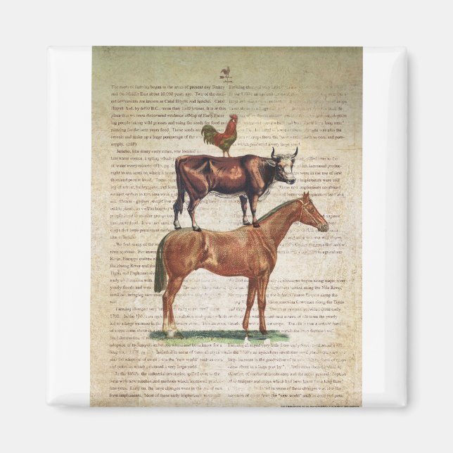 NOB12 Farm Stand C1.tif Magnet (Vorne)