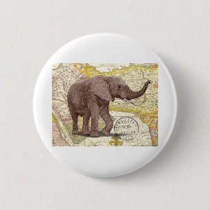 NOB173 Stamm 1.tif Button